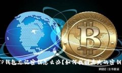 TP钱包忘记密钥怎么办？如