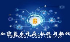 加密货币开局：机遇与挑
