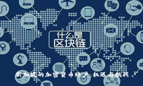 新加坡的加密货币账户：机遇与挑战