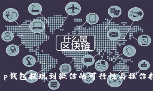  t p钱包提现到微信的可行性与操作指南