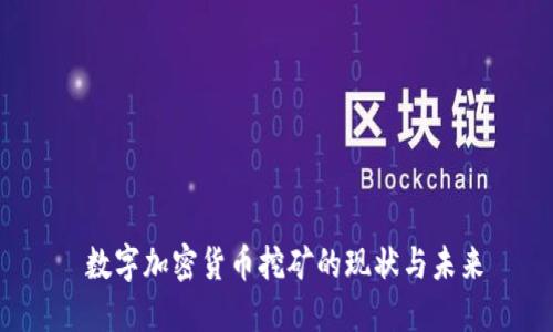  数字加密货币挖矿的现状与未来
