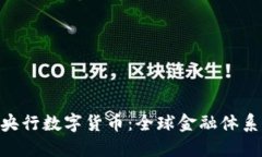 IMF与央行数字货币：全球