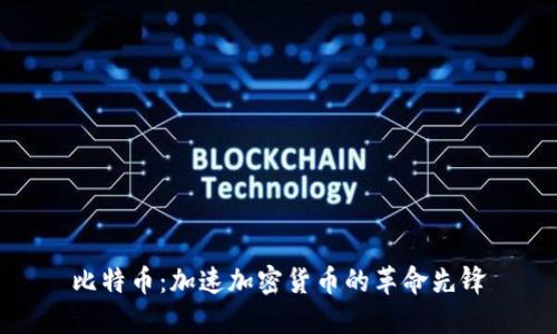 比特币：加速加密货币的革命先锋