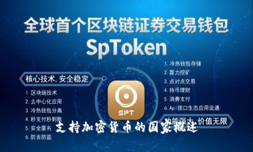 支持加密货币的国家概述