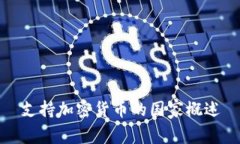 支持加密货币的国家概述