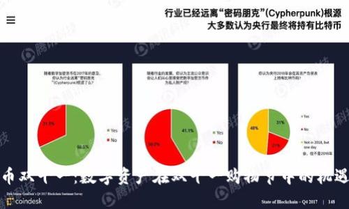 加密货币双十一：数字资产在双十一购物节中的机遇与挑战
