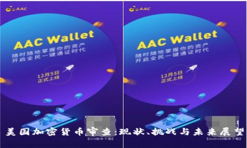美国加密货币审查：现状、挑战与未来展望