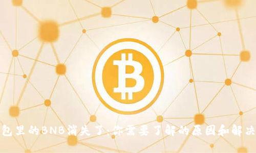 TP钱包里的BNB消失了：你需要了解的原因和解决方案