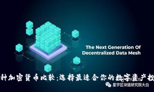 各种加密货币比较：选择最适合你的数字资产投资