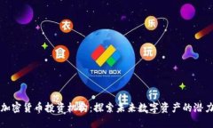 新加坡加密货币投资机构