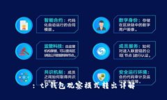 : tP钱包观察模式转出详解