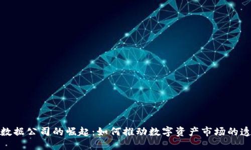 加密货币数据公司的崛起：如何推动数字资产市场的透明与发展