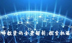 加密货币投资的全景解析