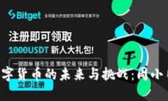  加密数字货币的未来与挑