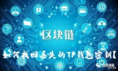 如何找回丢失的TP钱包密钥