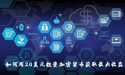  如何用20美元投资加密货币获取最大收益