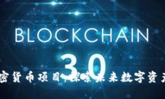 GitHub上的加密货币项目：