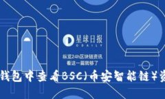 如何在TP钱包中查看BSC（币