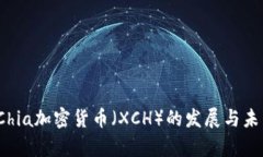  探索Chia加密货币（XCH）的