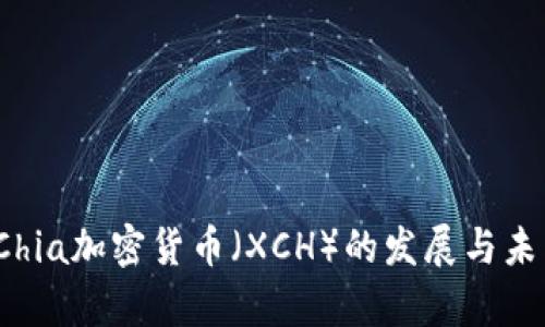  探索Chia加密货币（XCH）的发展与未来前景