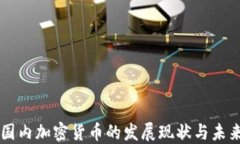 中国国内加密货币的发展