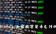 探索BitPay：加密数字货币