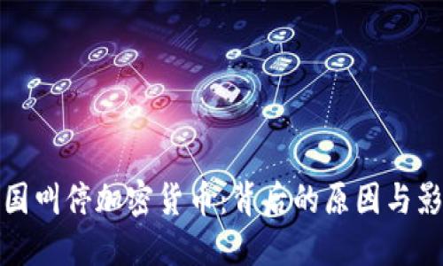 美国叫停加密货币：背后的原因与影响