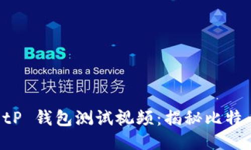 中本聪 tP 钱包测试视频：揭秘比特币新动向
