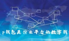  t p钱包是什么平台的数字