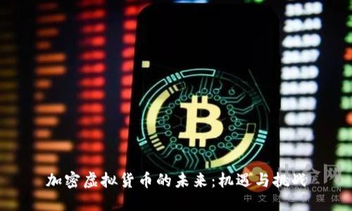 加密虚拟货币的未来：机遇与挑战