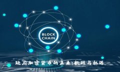 政府加密货币的未来：挑