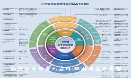 加密货币的多元应用：现状与未来展望