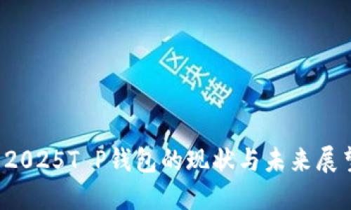  2025T P钱包的现状与未来展望