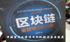中国货币加密项目的现状