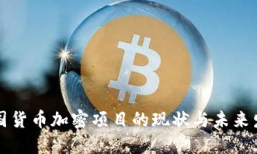 中国货币加密项目的现状与未来发展