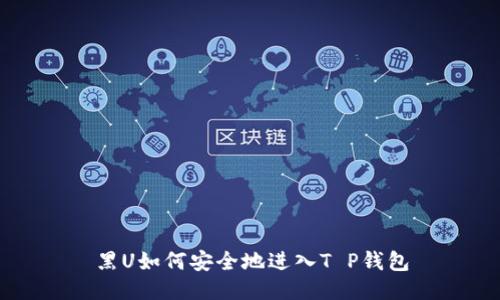 黑U如何安全地进入T P钱包