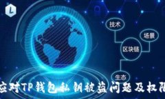   如何应对TP钱包私钥被盗