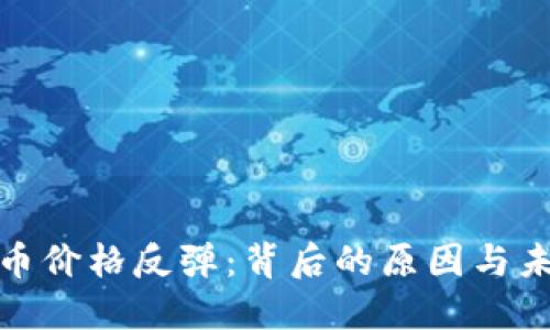 加密货币价格反弹：背后的原因与未来趋势
