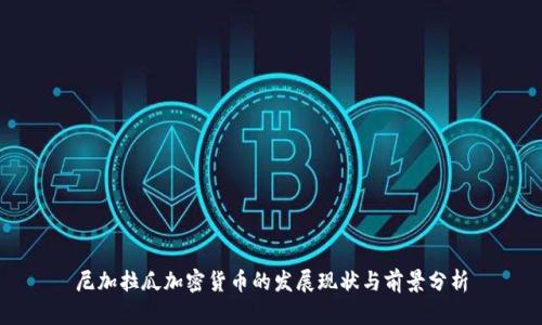 尼加拉瓜加密货币的发展现状与前景分析