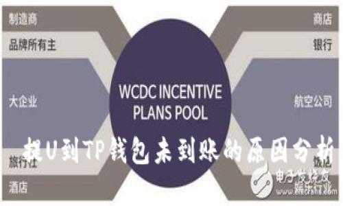  提U到TP钱包未到账的原因分析