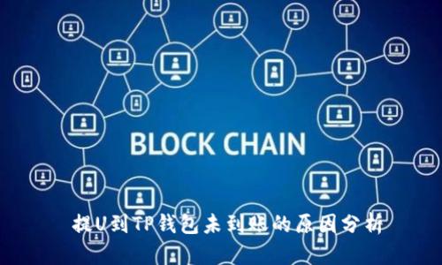  提U到TP钱包未到账的原因分析