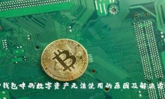 TP钱包中的数字资产无法使