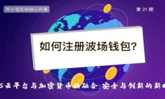 AWS云平台与加密货币的融