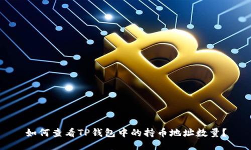 如何查看TP钱包中的持币地址数量？
