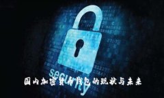 国内加密货币钱包的现状