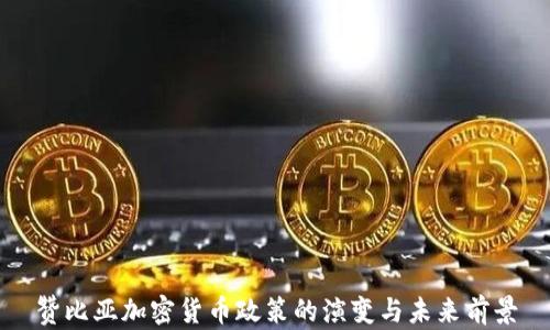 
赞比亚加密货币政策的演变与未来前景