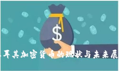 土耳其加密货币的现状与未来展望