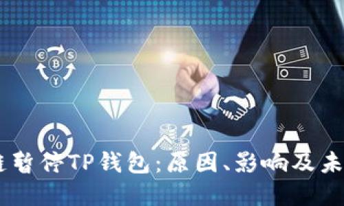 币安链暂停TP钱包：原因、影响及未来展望