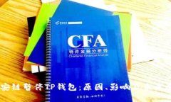币安链暂停TP钱包：原因、