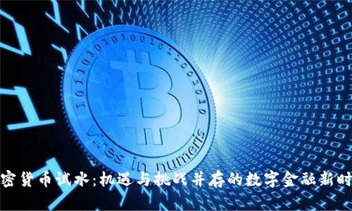 加密货币试水：机遇与挑战并存的数字金融新时代